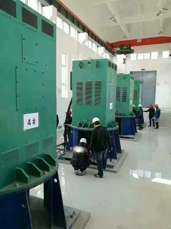 Y450-4B某污水处理厂使用我厂的立式高压电机安装现场